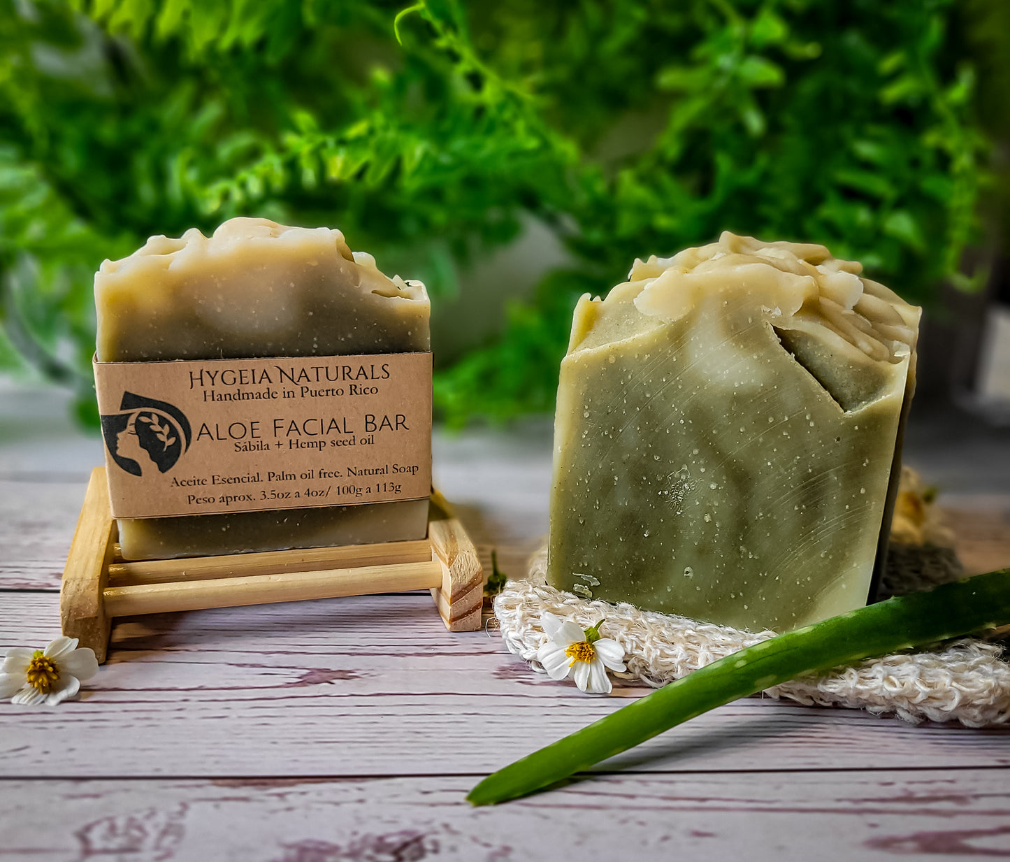 Aloe Facial Bar