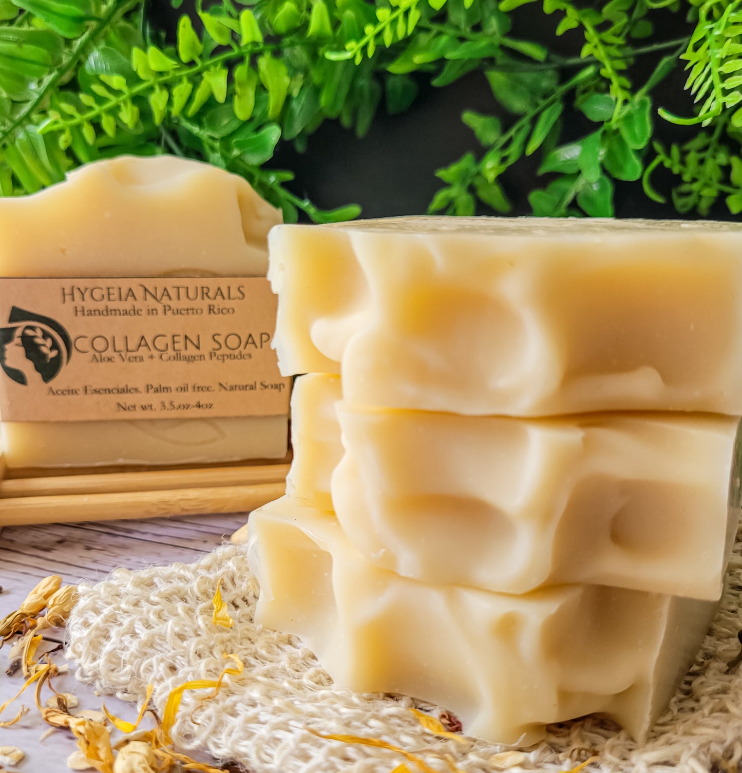 Jabón Artesanal de Colágeno & Aloe Vera – Hidratación y Firmeza