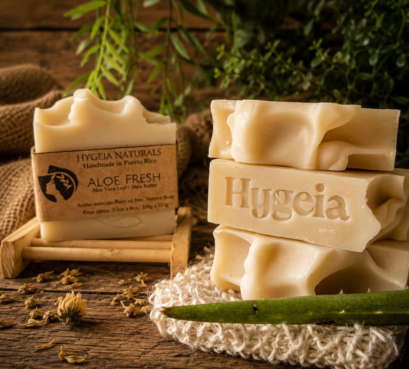 Jabón Artesanal de Sábila Orgánica, Eucalipto y Menta