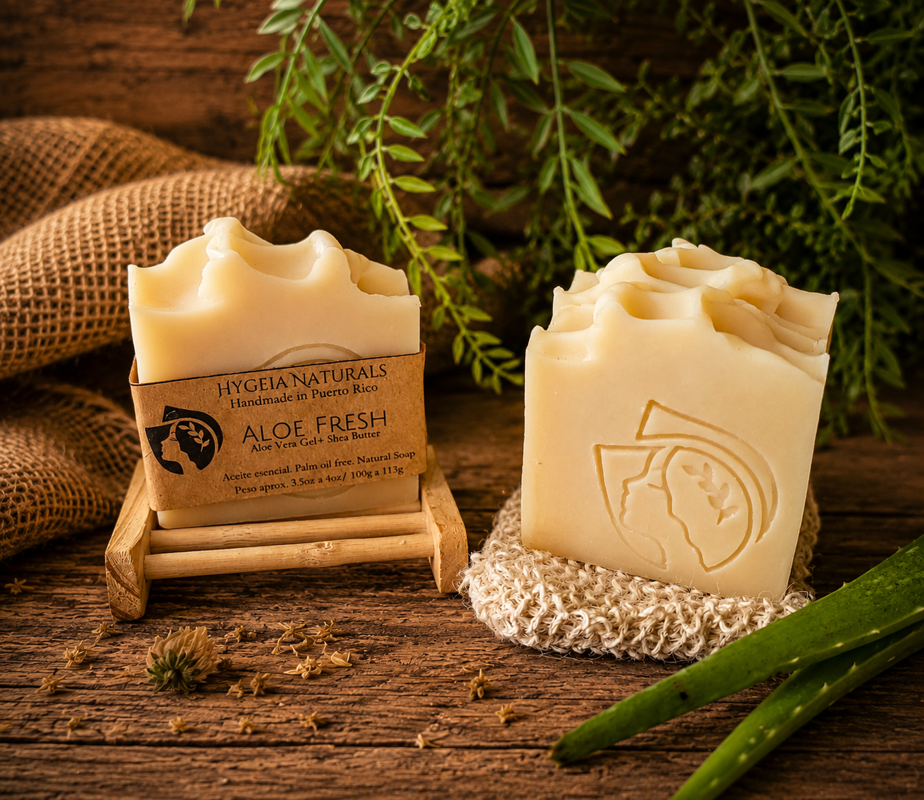Jabón Artesanal de Sábila Orgánica, Eucalipto y Menta